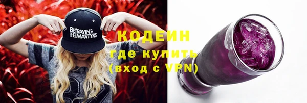 мдпв Вяземский