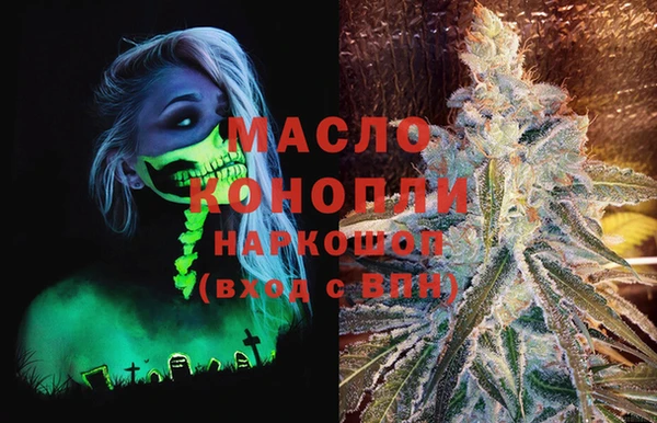 мдпв Вяземский