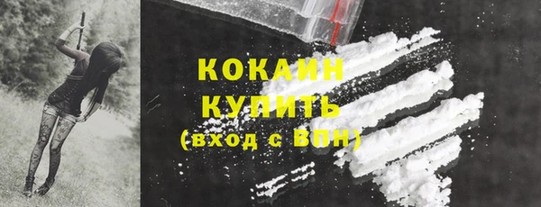 соль ск Горно-Алтайск