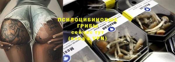 спиды Россошь