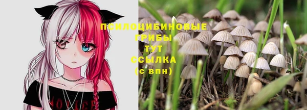 кокаин перу Рославль