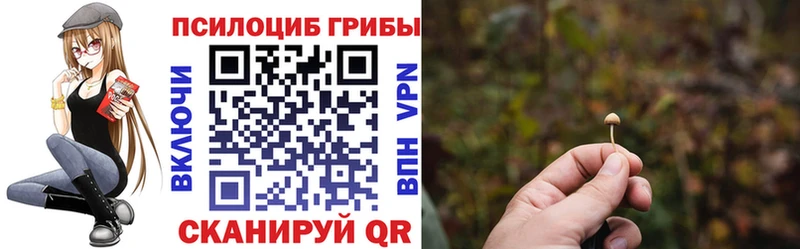 Купить  Лодейное Поле  Псилоцибиновые грибы прущие грибы 